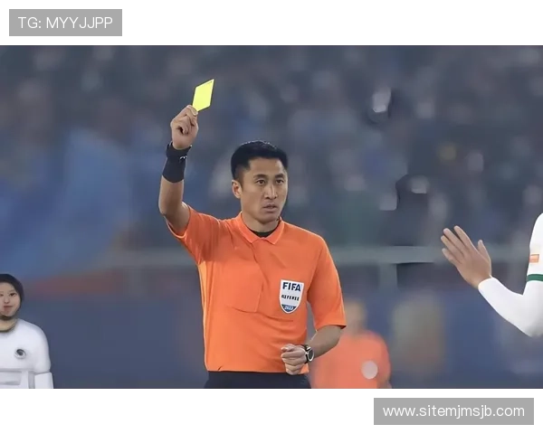 深入解读足球世界杯预选赛的比赛规则与裁判判罚标准，保障赛事公平公正进行